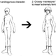 Image for article titled How to Design Characters the Square-Enix Way